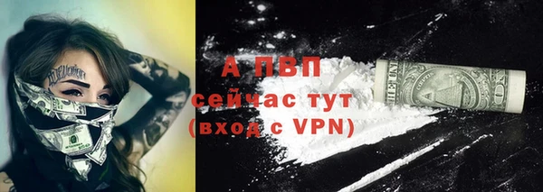 прущие крисы Абаза