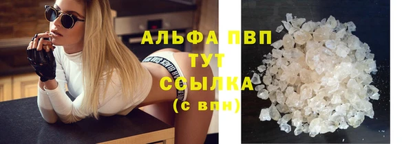 прущие грибы Абдулино