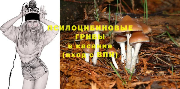прущие грибы Абдулино