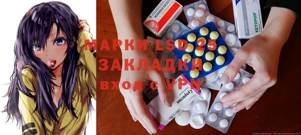 прущие грибы Абдулино