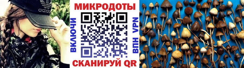 Галлюциногенные грибы мицелий  Владикавказ 