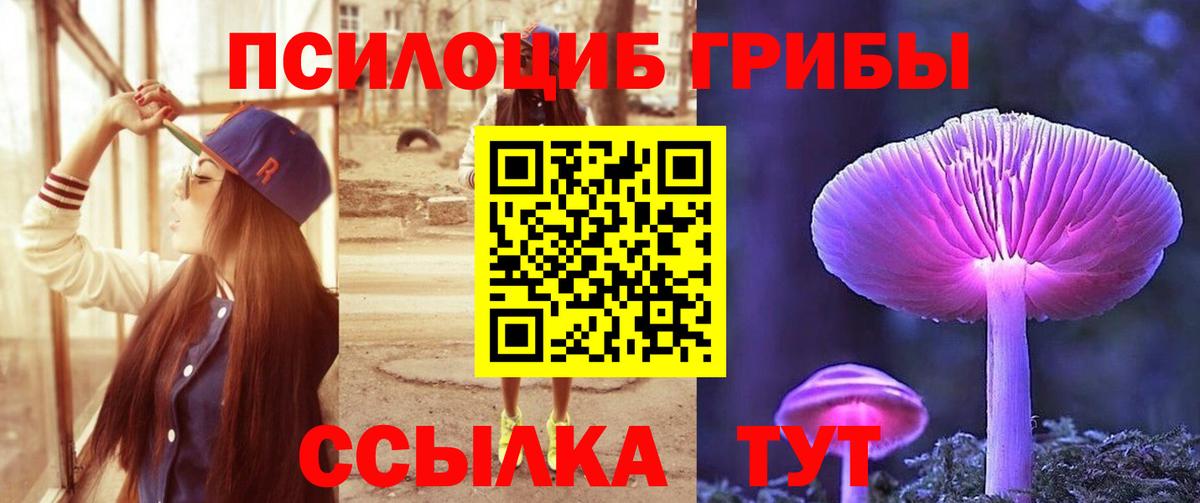 Псилоцибиновые грибы MAGIC MUSHROOMS  купить   Владикавказ  Вход с VPN 